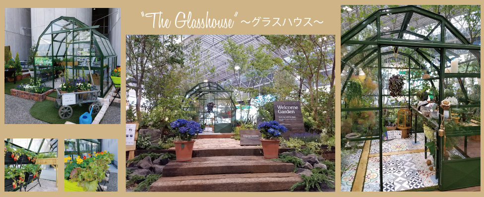 英国製グラスハウス展示写真